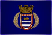 Bandera de Naguabo, Humacao