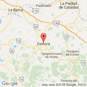 Localización de Zamora en Michoacán de Ocampo