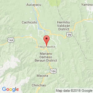 Localización de Tingo María en Huánuco