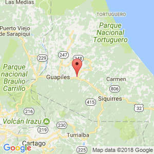 Localización de Guácimo en Limón