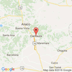 Localización de Cantaura en Anzoátegui