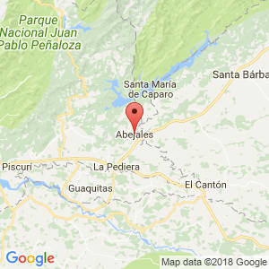 Localización de Abejales en Táchira