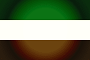 Bandera de Arauquita, Arauca