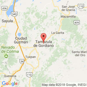 Localización de Tamazula de Gordiano en Jalisco