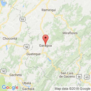 Localización de Garagoa en Boyacá