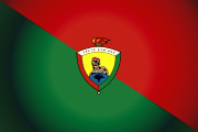Bandera de Santo Domingo, Santo Domingo de los Tsáchilas