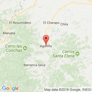 Localización de Aguililla en Michoacán de Ocampo
