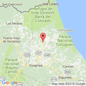 Localización de Pococi en Limón