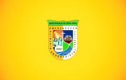 Bandera de Santa Anita, Lima Provincias