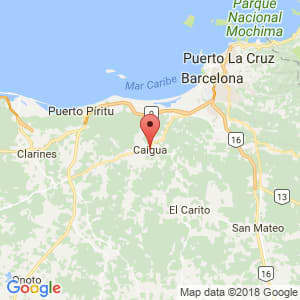 Localización de Caigua en Anzoátegui
