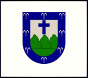 Bandera de Trujillo Alto, Carolina