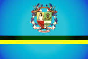 Bandera de Municipio Autónomo Naguanagua, Carabobo