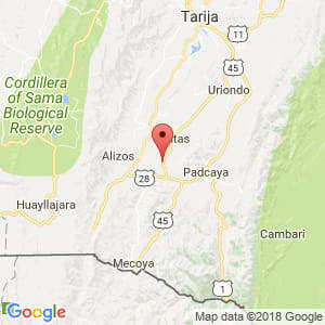 Localización de Chaguaya en Tarija