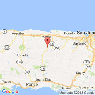 Localización de Ciales en Arecibo