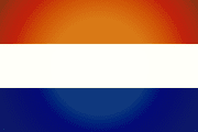 Bandera de Guamo, Tolima