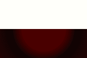 Bandera de Cisneros, Antioquia