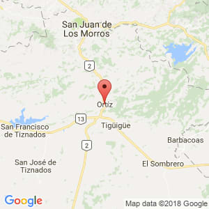 Localización de Ortiz en Guárico
