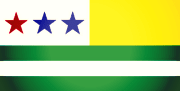 Bandera de Tosagua, Manabí