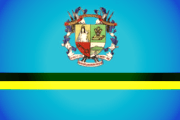 Bandera de Naguanagua, Carabobo