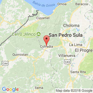 Localización de Cofradía en Cortés