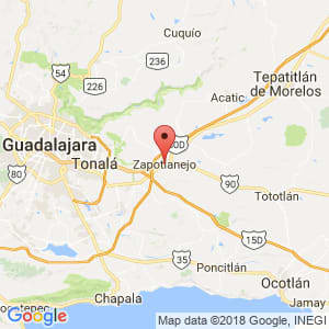 Localización de Zapotlanejo en Jalisco