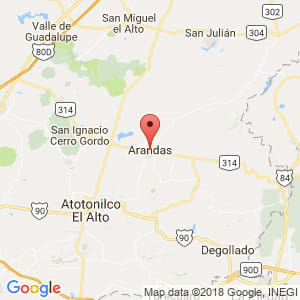 Localización de Arandas en Jalisco