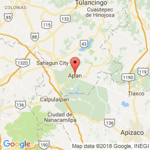Localización de Apan en Hidalgo