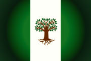Bandera de Pachavita, Boyacá