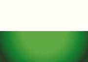Bandera de Ortega, Tolima