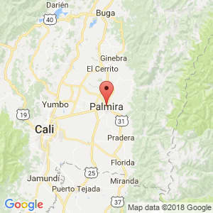 Localización de Palmira en Valle del Cauca