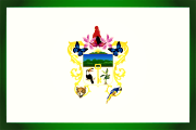 Bandera de Tingo María, Huánuco