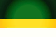 Bandera de Madrid, Cundinamarca