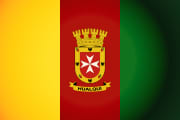 Bandera de Hualqui, Biobío