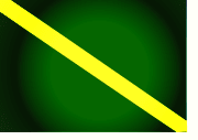 Bandera de Villapinzón, Cundinamarca