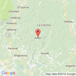 Localización de Anorí en Antioquia