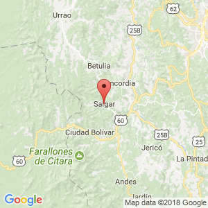 Localización de Salgar en Antioquia