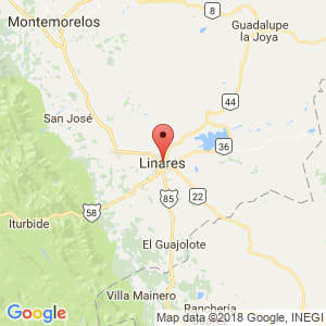 Localización de Linares en Nuevo León