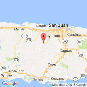 Localización de Naranjito en Guayama