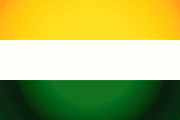 Bandera de Guacarí, Valle del Cauca