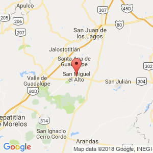 Localización de San Miguel el Alto en Jalisco