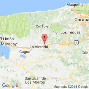 Localización de El Consejo en Aragua