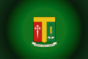 Bandera de Tenjo, Cundinamarca