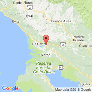 Localización de Palmar en Puntarenas