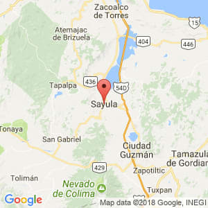 Localización de Sayula en Jalisco