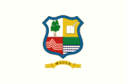 Bandera de Talca, Maule