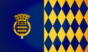 Bandera de Arecibo, Arecibo