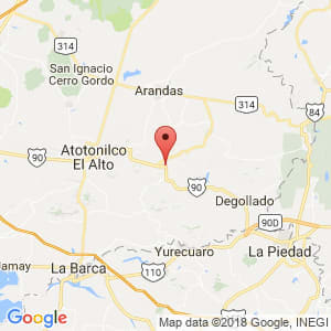 Localización de Ayotlán en Jalisco