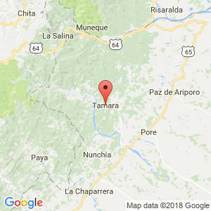 Localización de Támara en Casanare