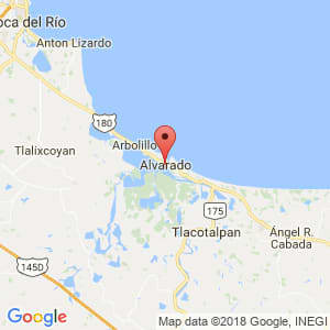 Localización de Alvarado en Veracruz de Ignacio de la Llave