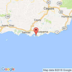 Localización de Juana Díaz en Guayama